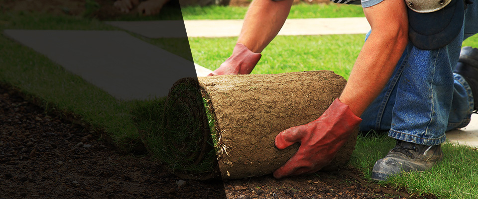 El Granada Landscapers